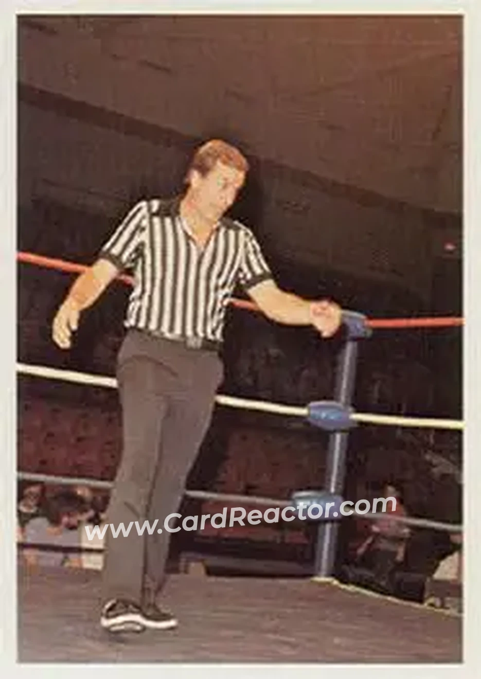 1988 Wonderama NWA #216 - Tommy Young