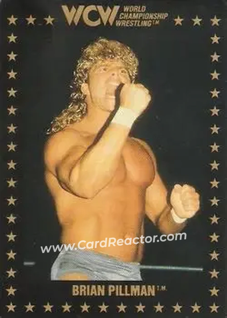 1991 Championship Marketing WCW #11 - Brian Pillman
