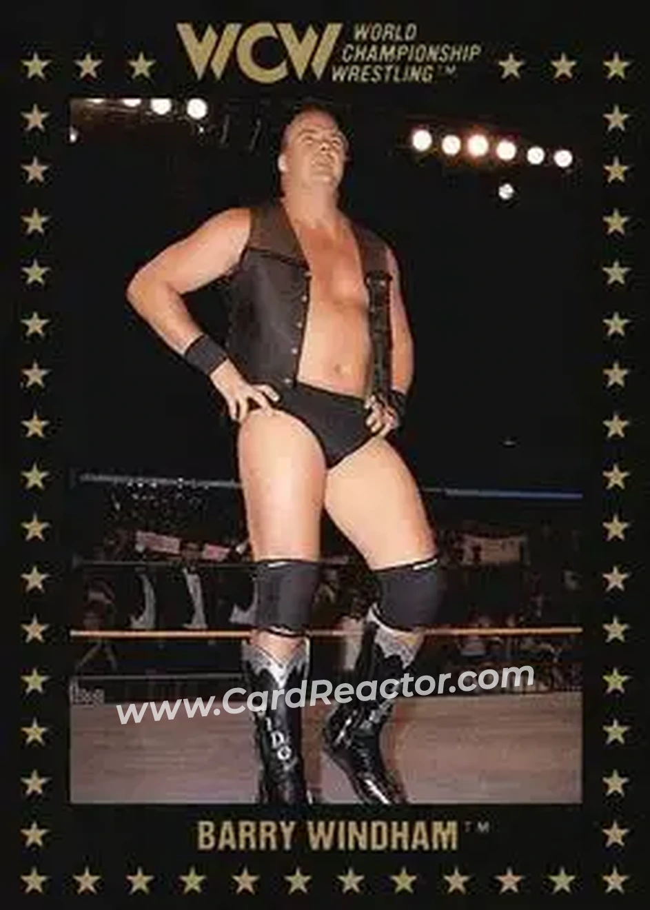 1991 Championship Marketing WCW #17 - The Widow Maker