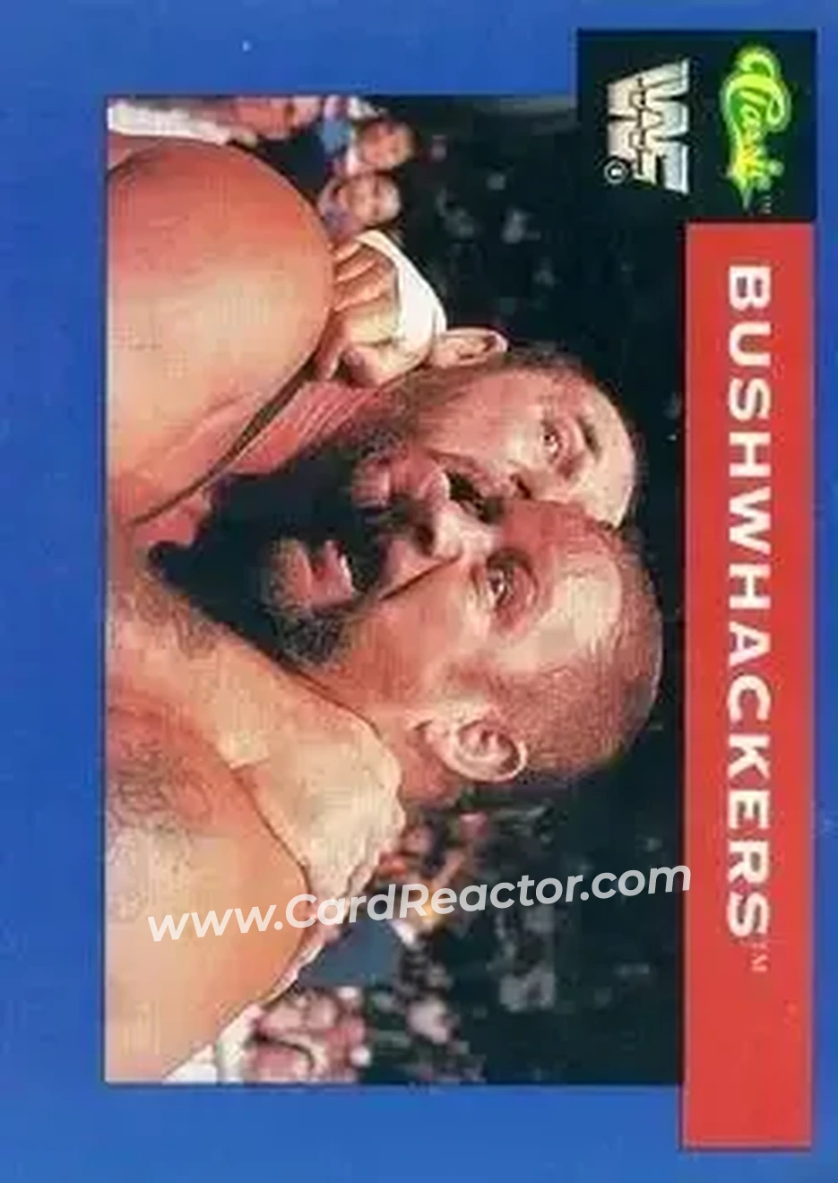1991 Classic WWF Superstars #50 - The Bushwhackers (Butch & Luke)