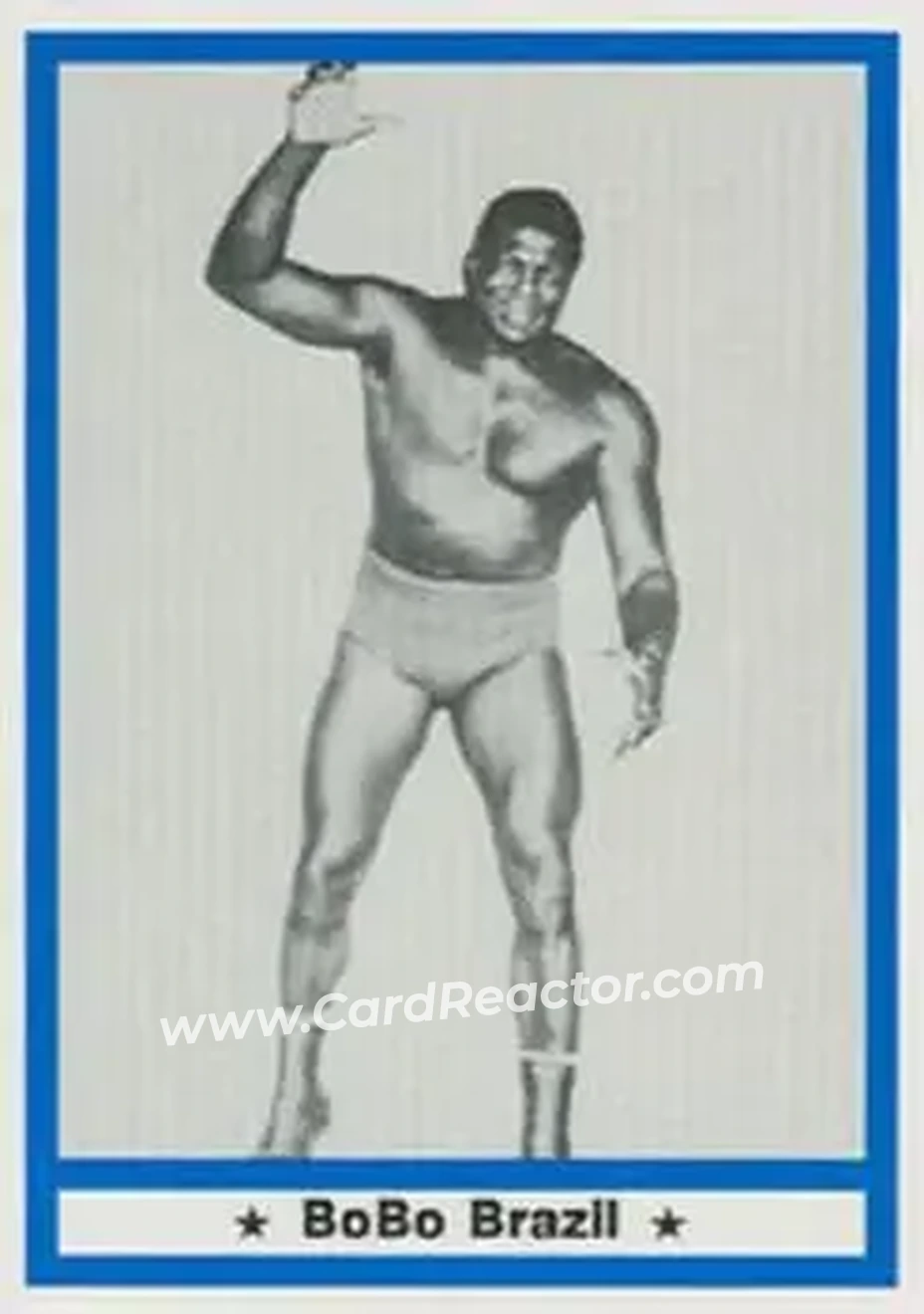 1991 Imagine Wrestling Legends #31 - Bobo Brazil