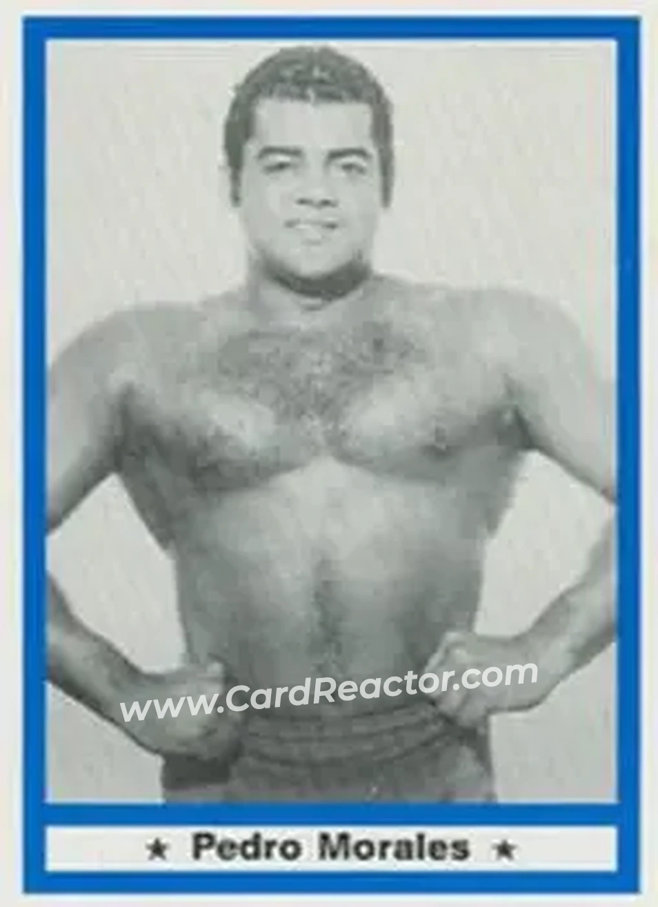1991 Imagine Wrestling Legends #33 - Pedro Morales