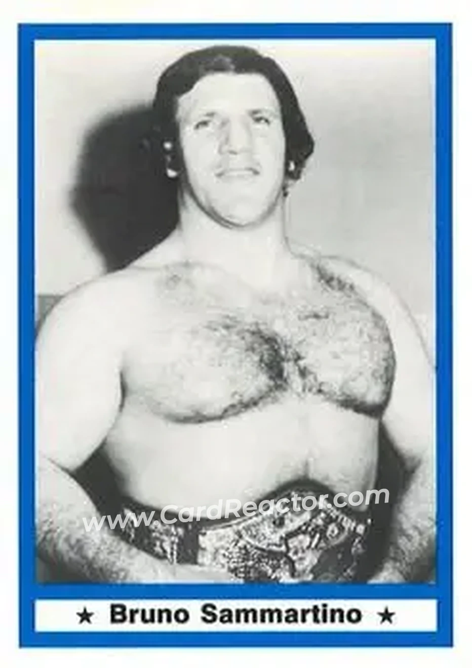 1991 Imagine Wrestling Legends #38 - Bruno Sammartino