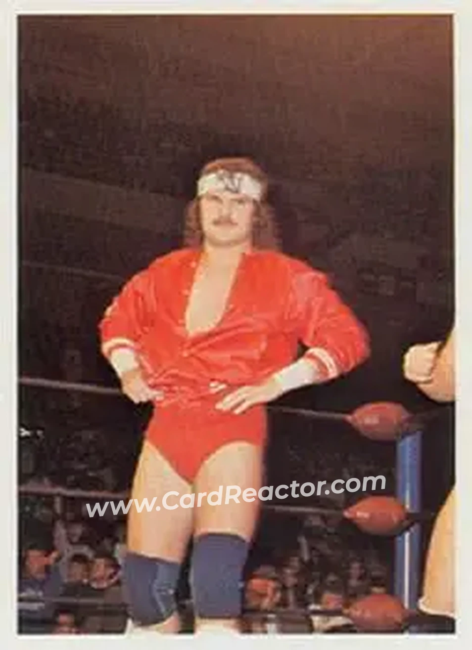 1988 Wonderama NWA #218 - George South