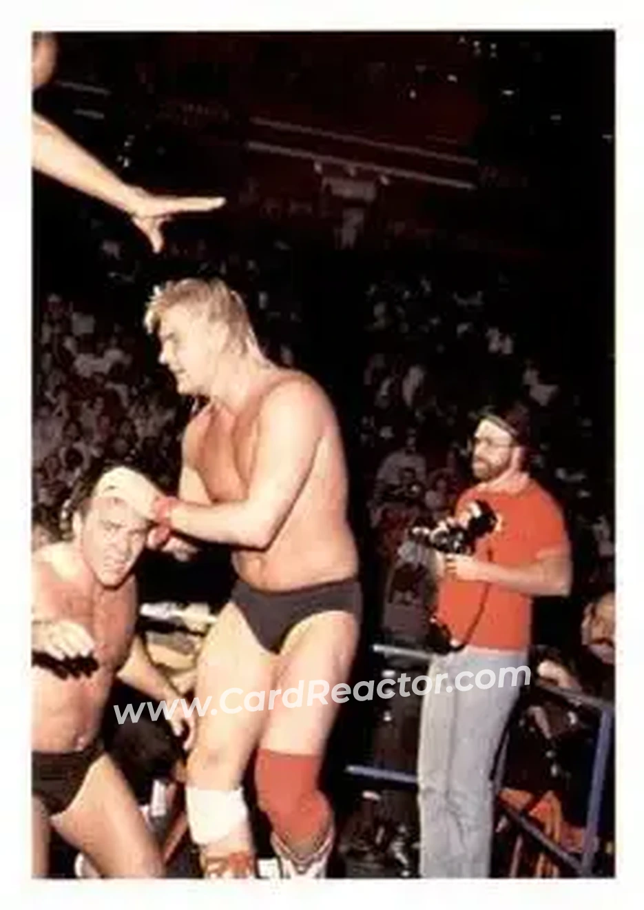 1988 Wonderama NWA #222 - The Widow Maker