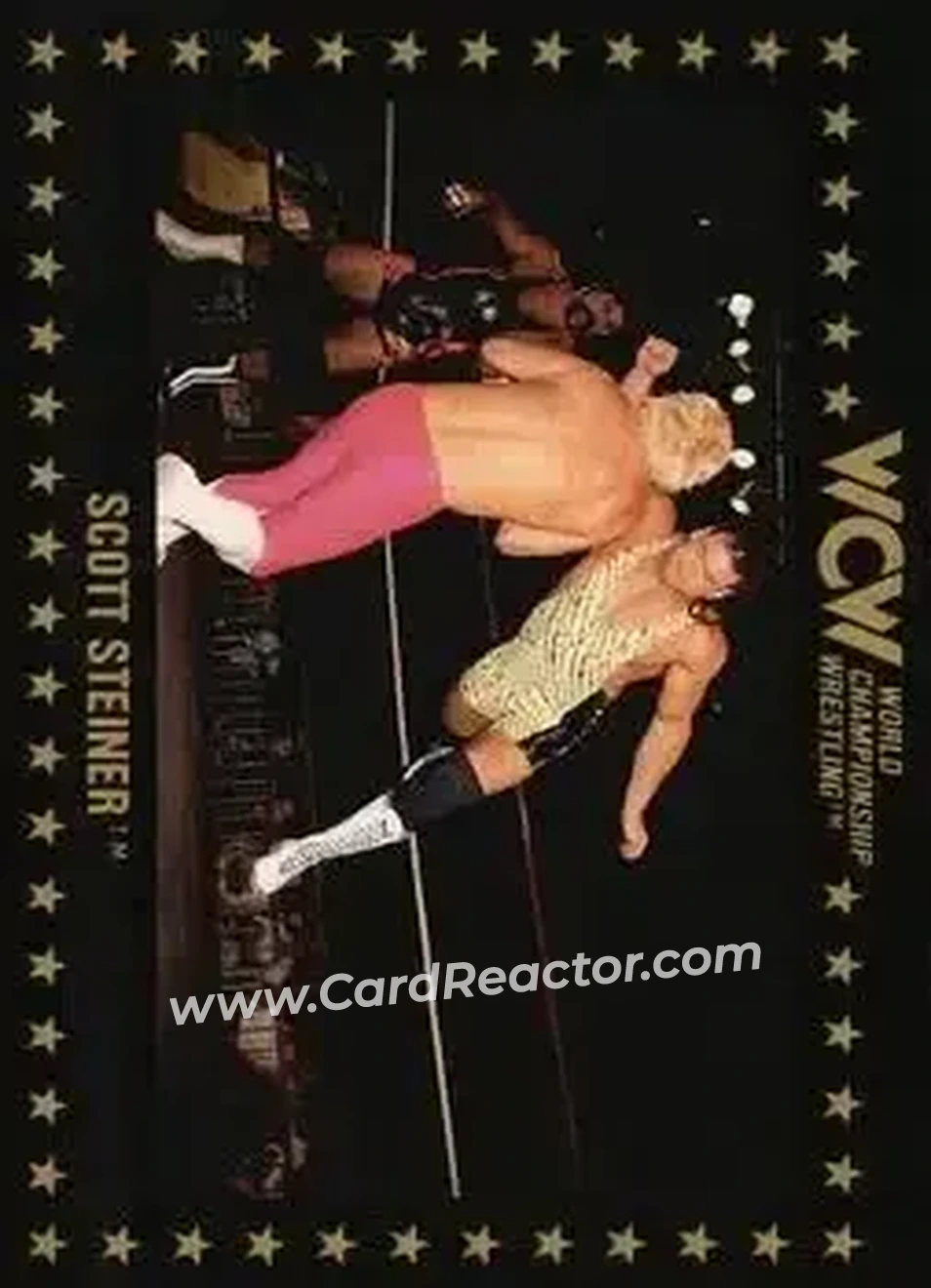 1991 Championship Marketing WCW #25 - Scott Steiner