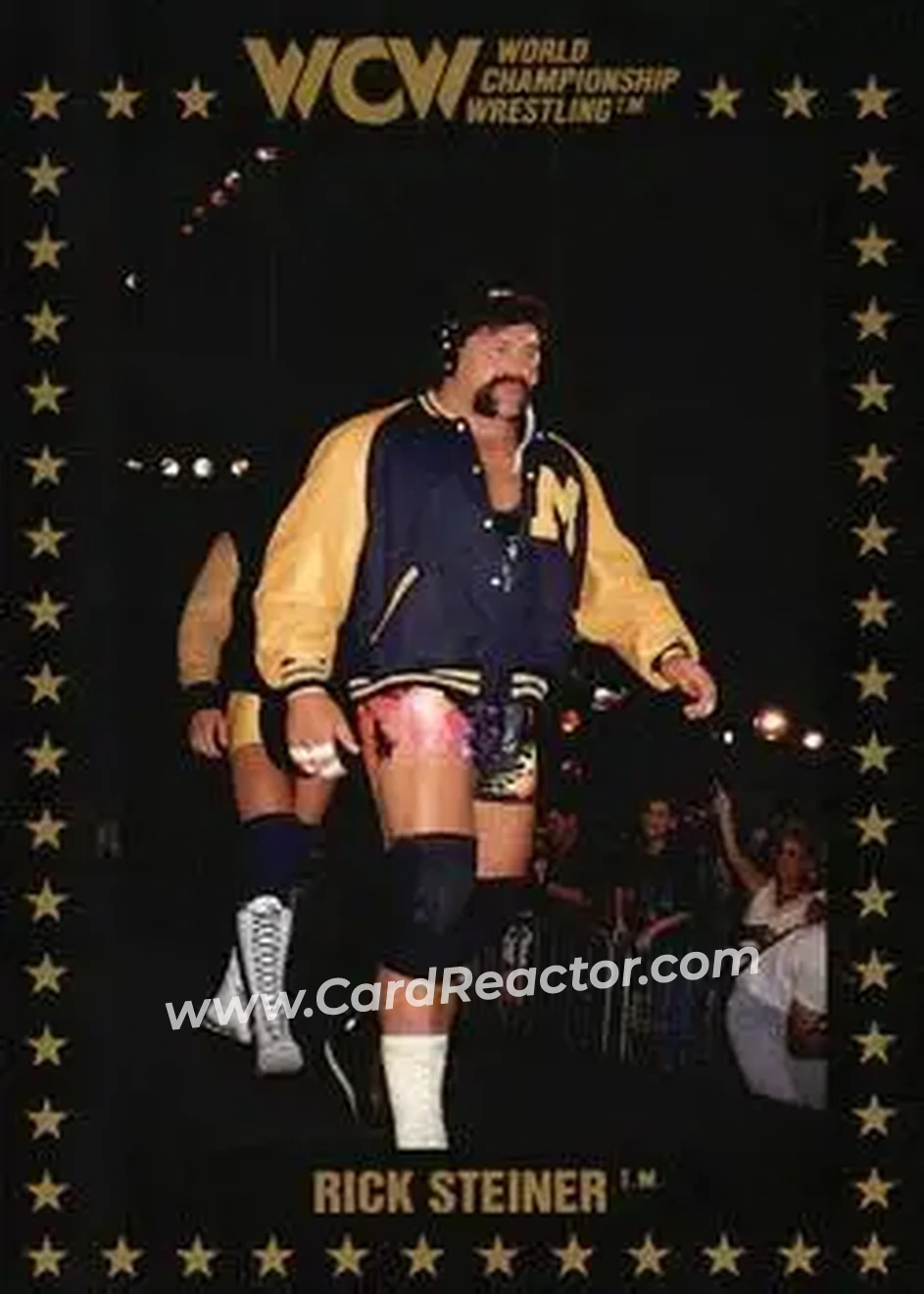 1991 Championship Marketing WCW #26 - Rick Steiner