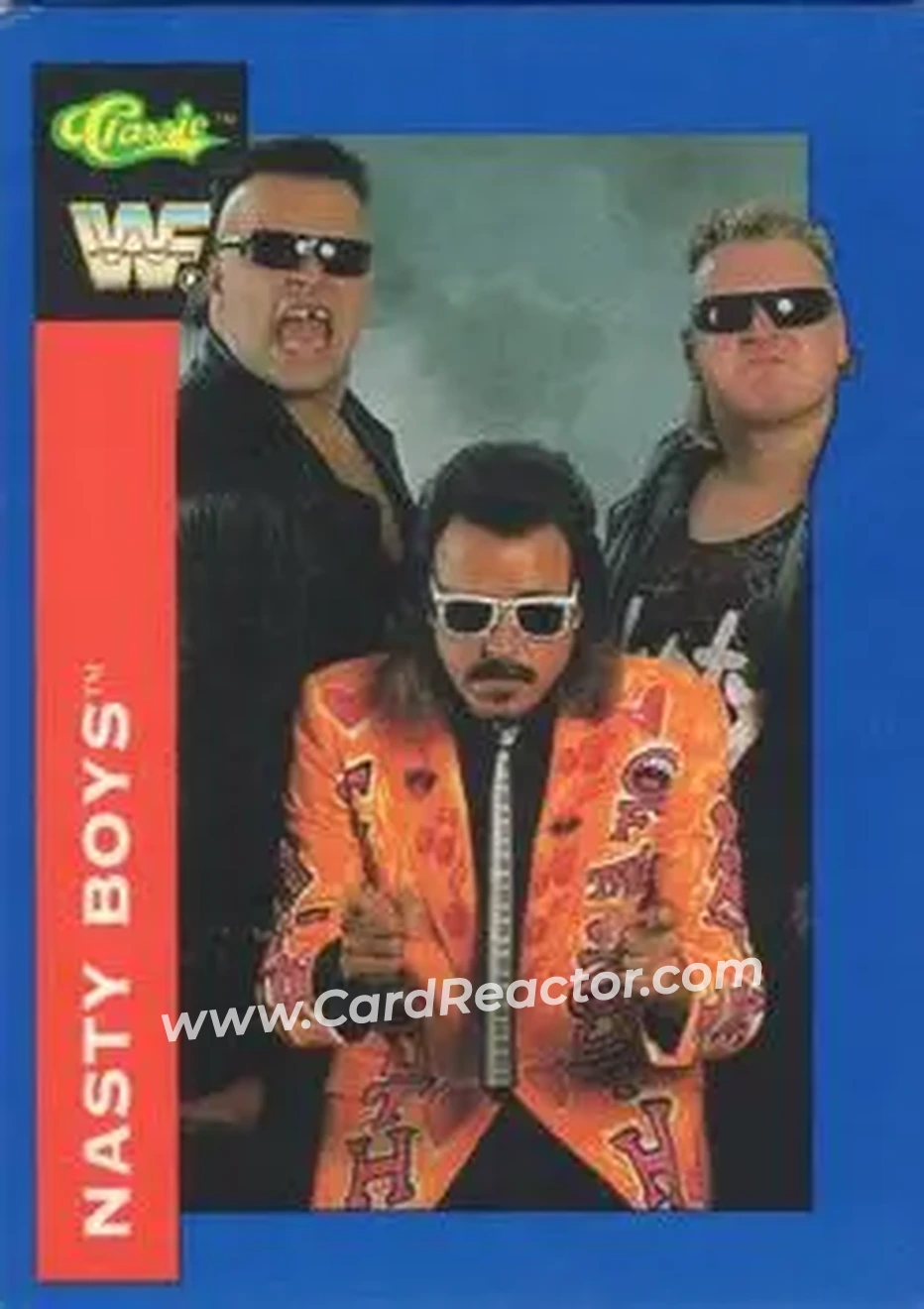 1991 Classic WWF Superstars #57 - The Nasty Boys