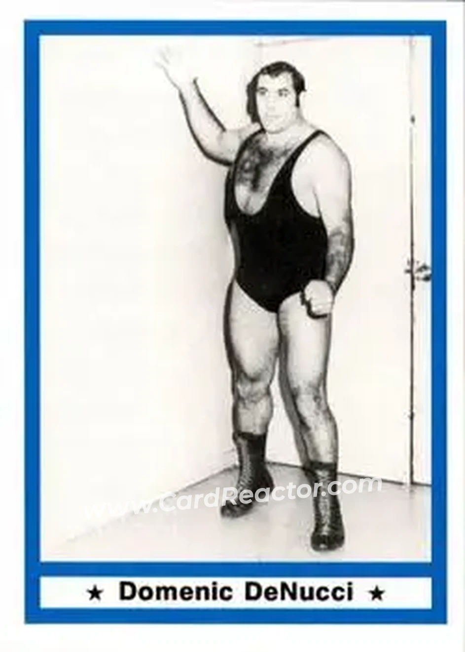 1991 Imagine Wrestling Legends #48 - Dominic DeNucci