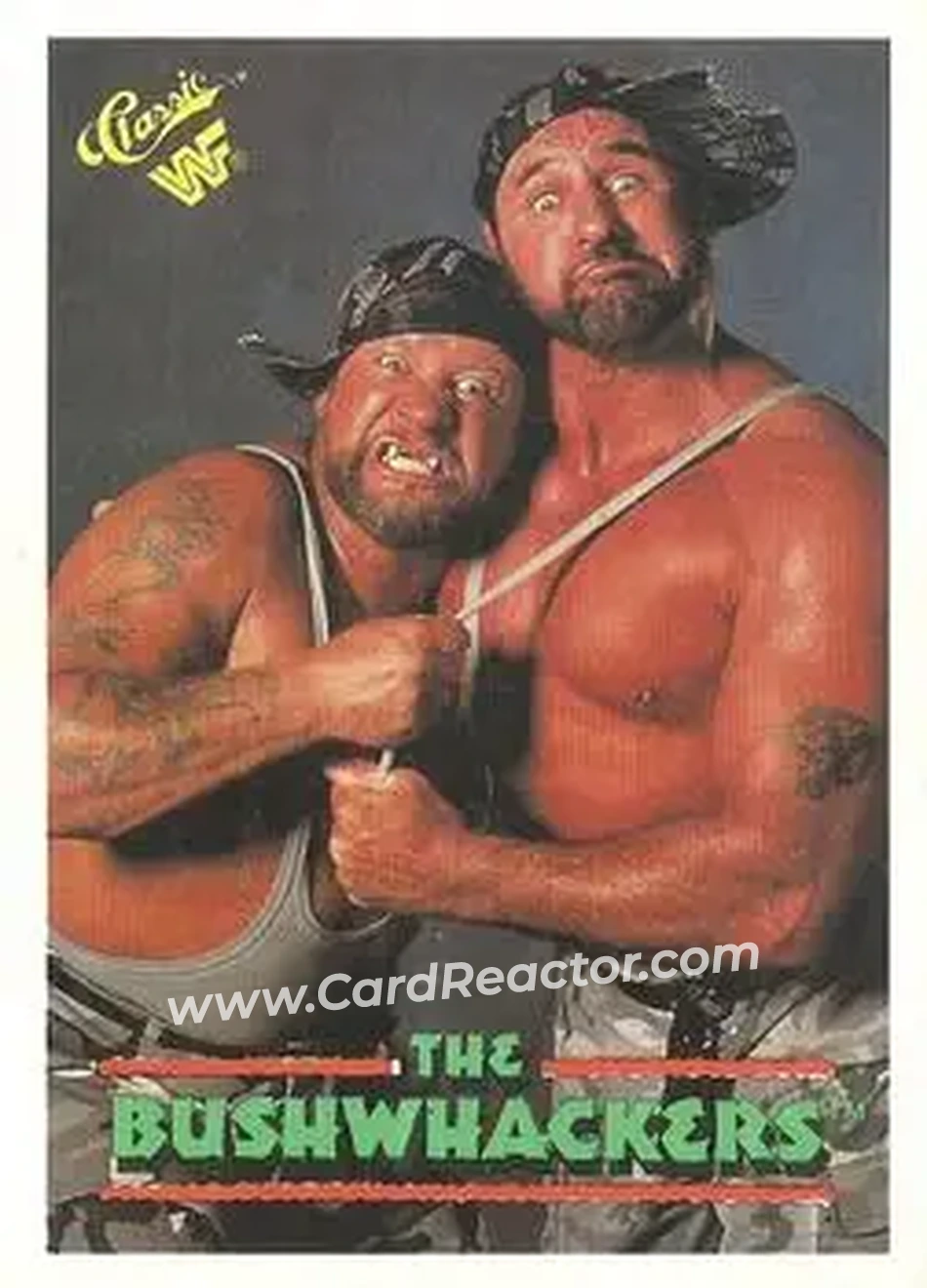 1990 Classic WWF The History of Wrestlemania #148 - The Bushwhackers (Butch & Luke)