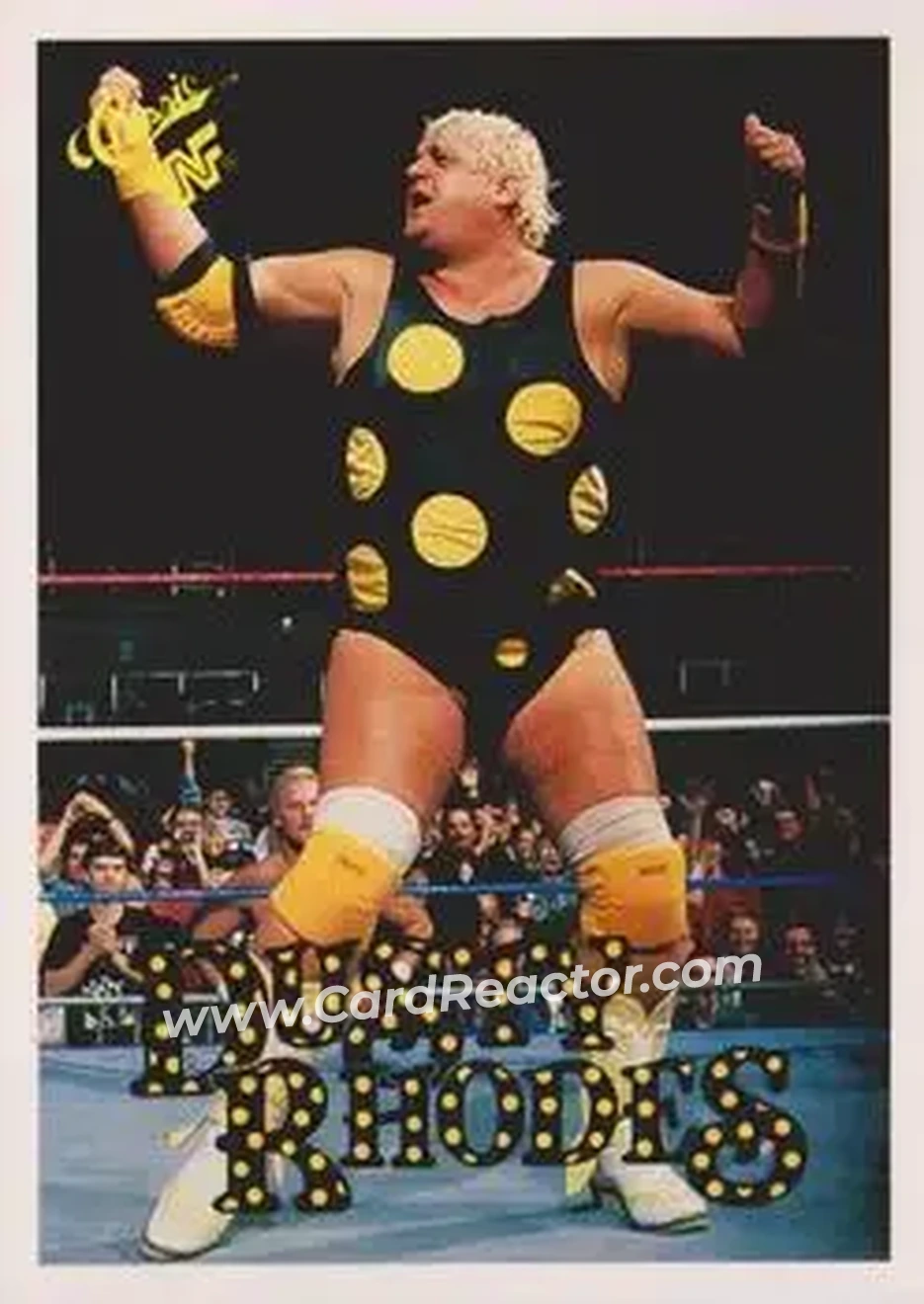 1990 Classic WWF The History of Wrestlemania #150 - Dusty Rhodes