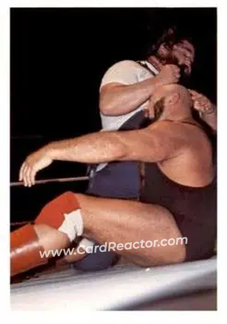 1988 Wonderama NWA #233 - Mighty Wilbur