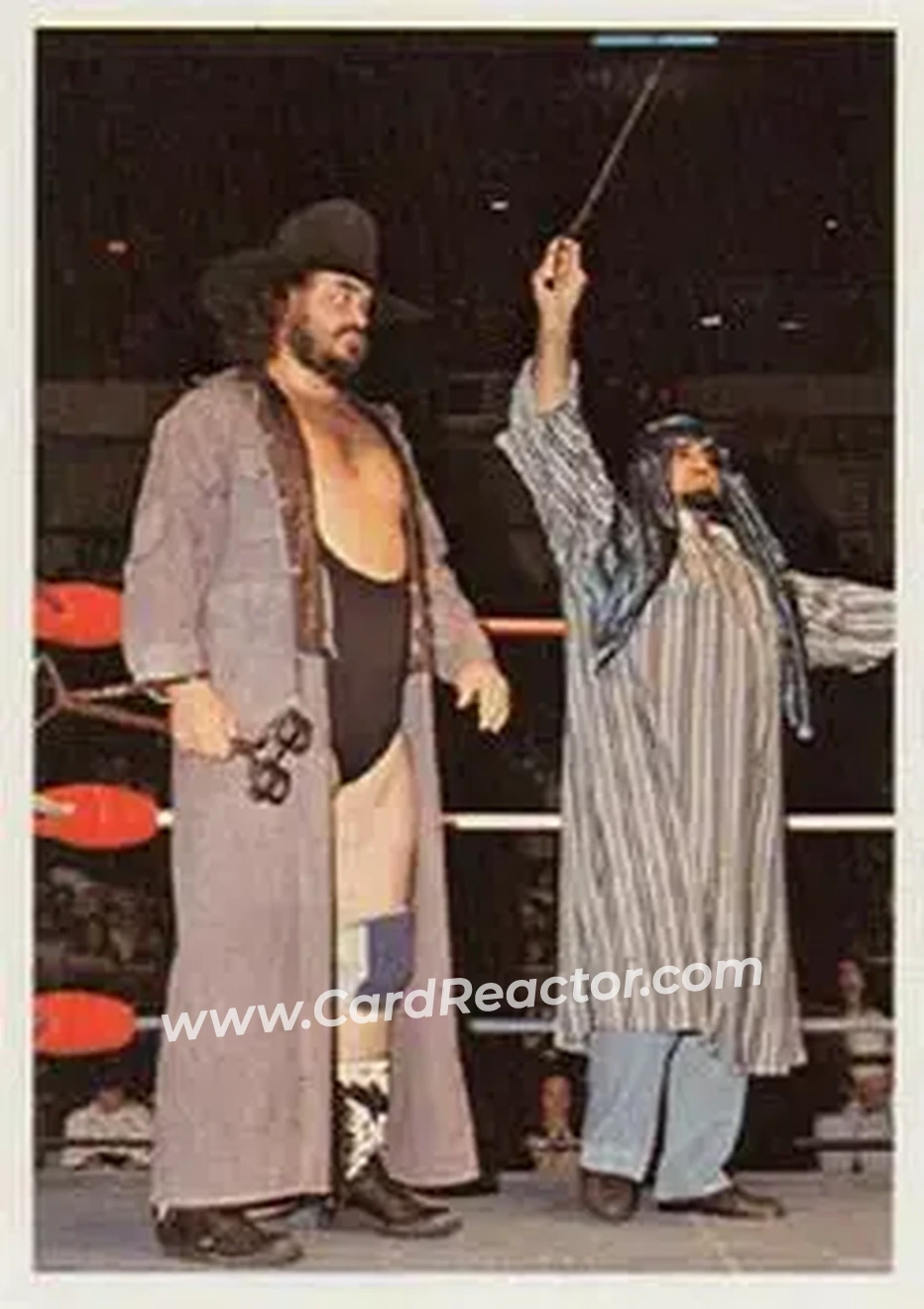 1988 Wonderama NWA #235 - Skandor Akbar