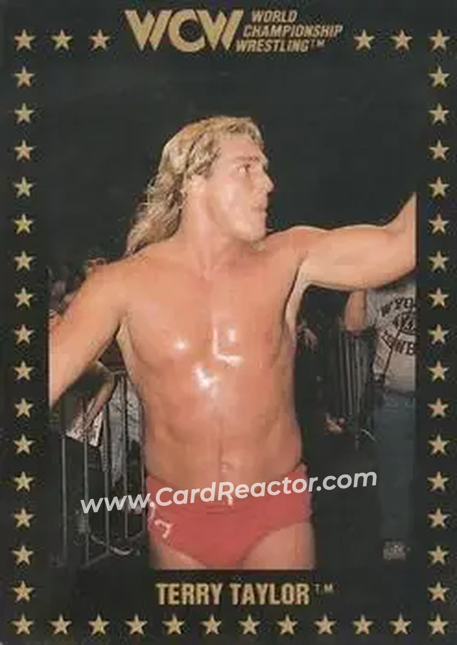 1991 Championship Marketing WCW #33 - Red Rooster