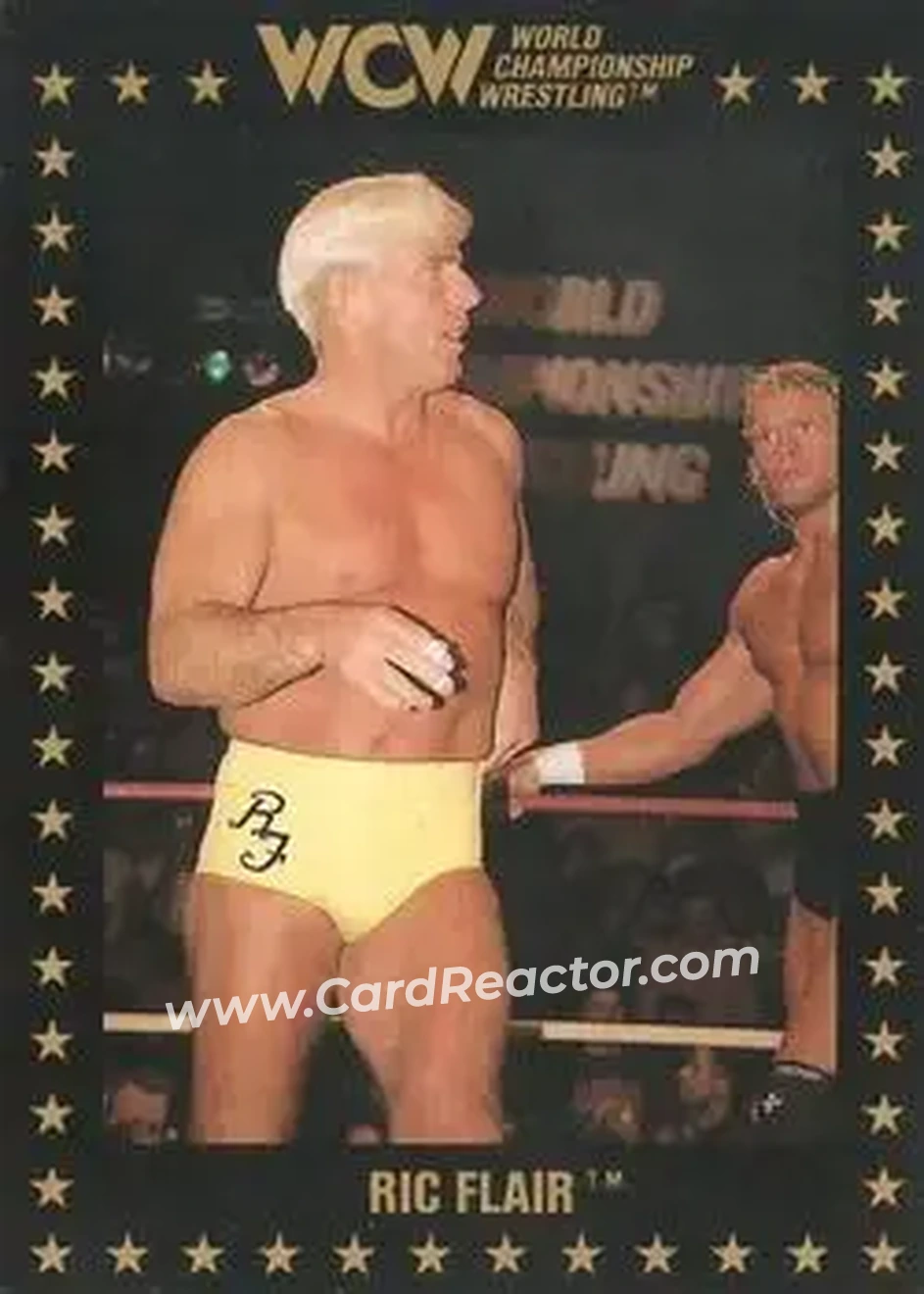 1991 Championship Marketing WCW #39 - Ric Flair
