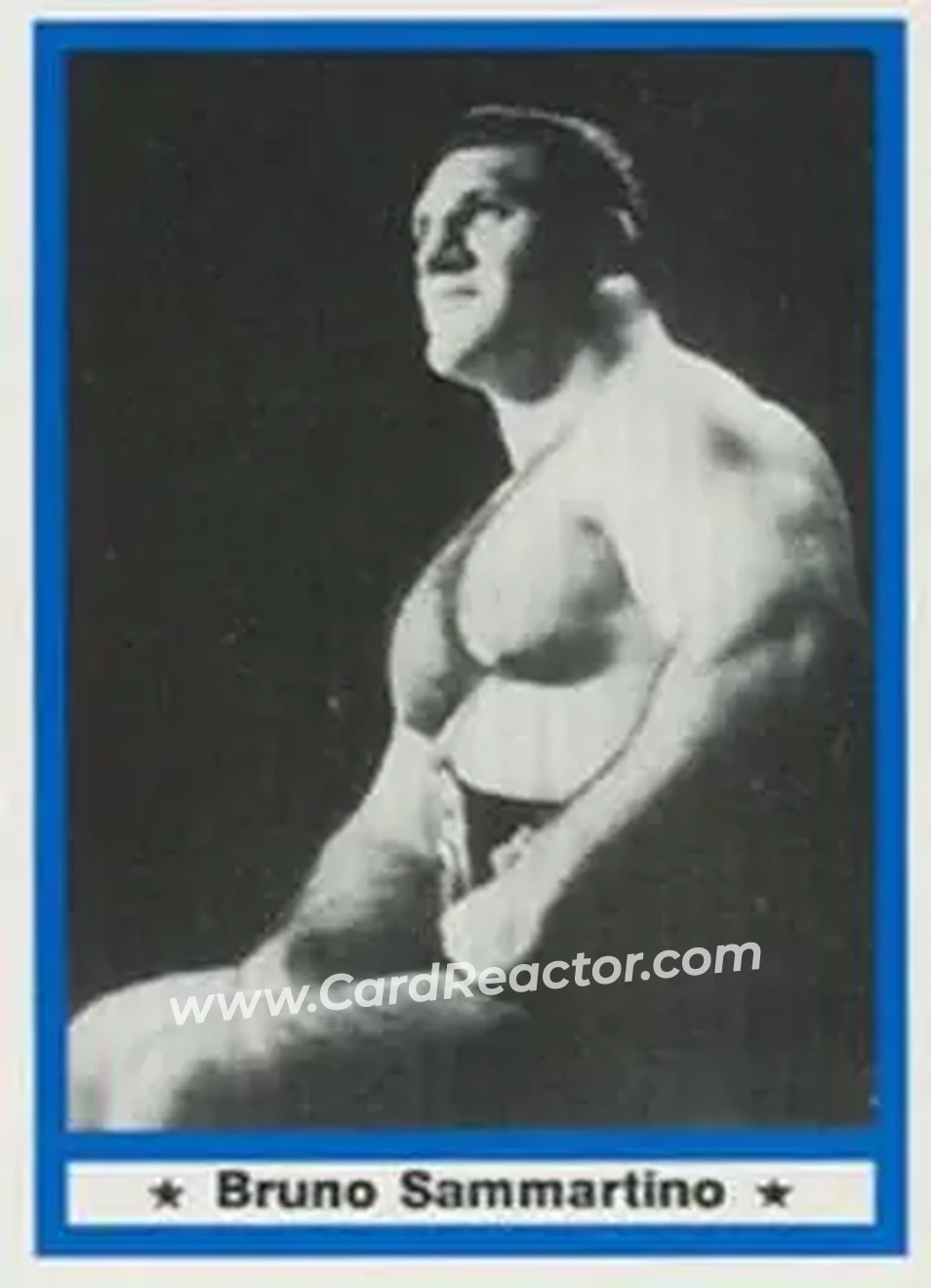 1991 Imagine Wrestling Legends #60 - Bruno Sammartino