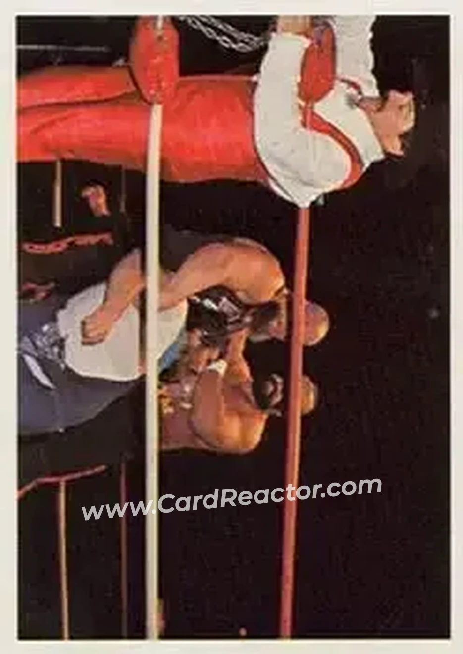 1988 Wonderama NWA #241 - Paul Jones