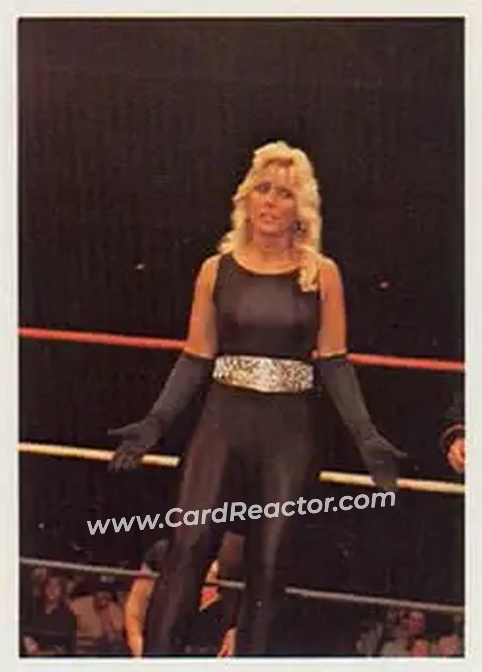 1988 Wonderama NWA #245 - Baby Doll