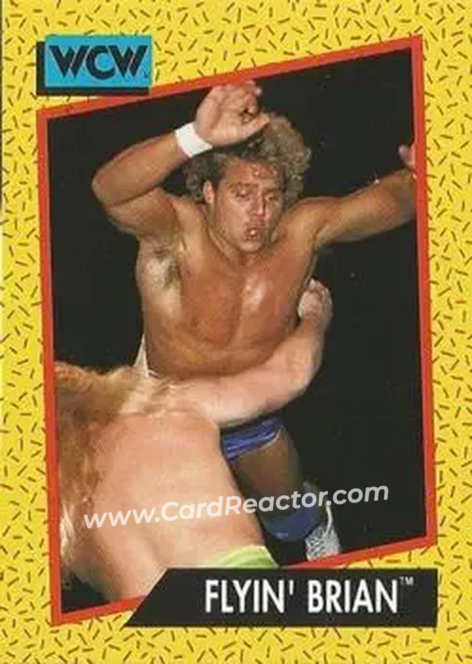 1991 Impel WCW #62 - Brian Pillman