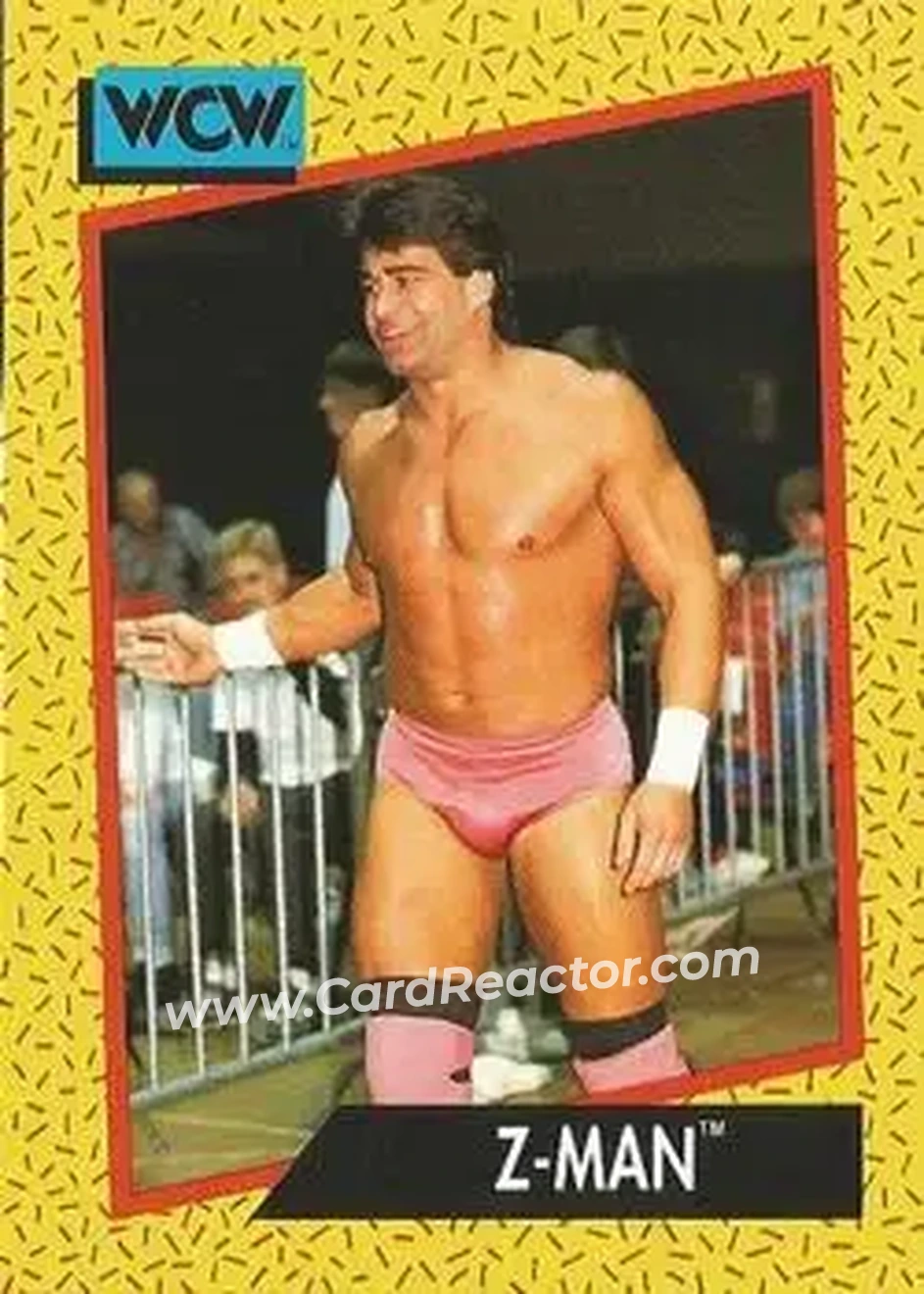 1991 Impel WCW #65 - Tom Zenk