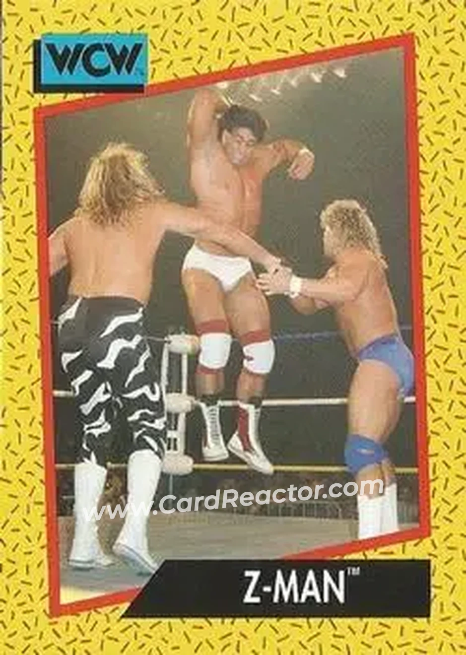 1991 Impel WCW #66 - Tom Zenk