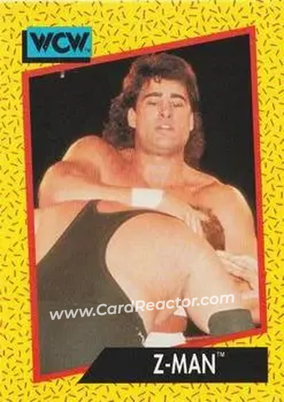 1991 Impel WCW #67 - Tom Zenk