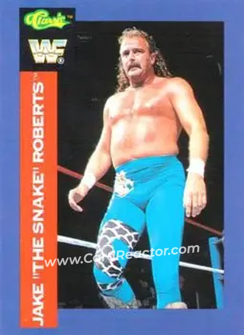 1991 Classic WWF Superstars #73 - Jake "The Snake" Roberts