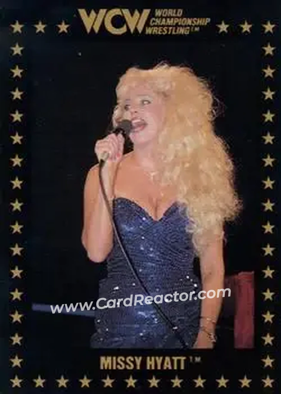 1991 Championship Marketing WCW #41 - Missy Hyatt