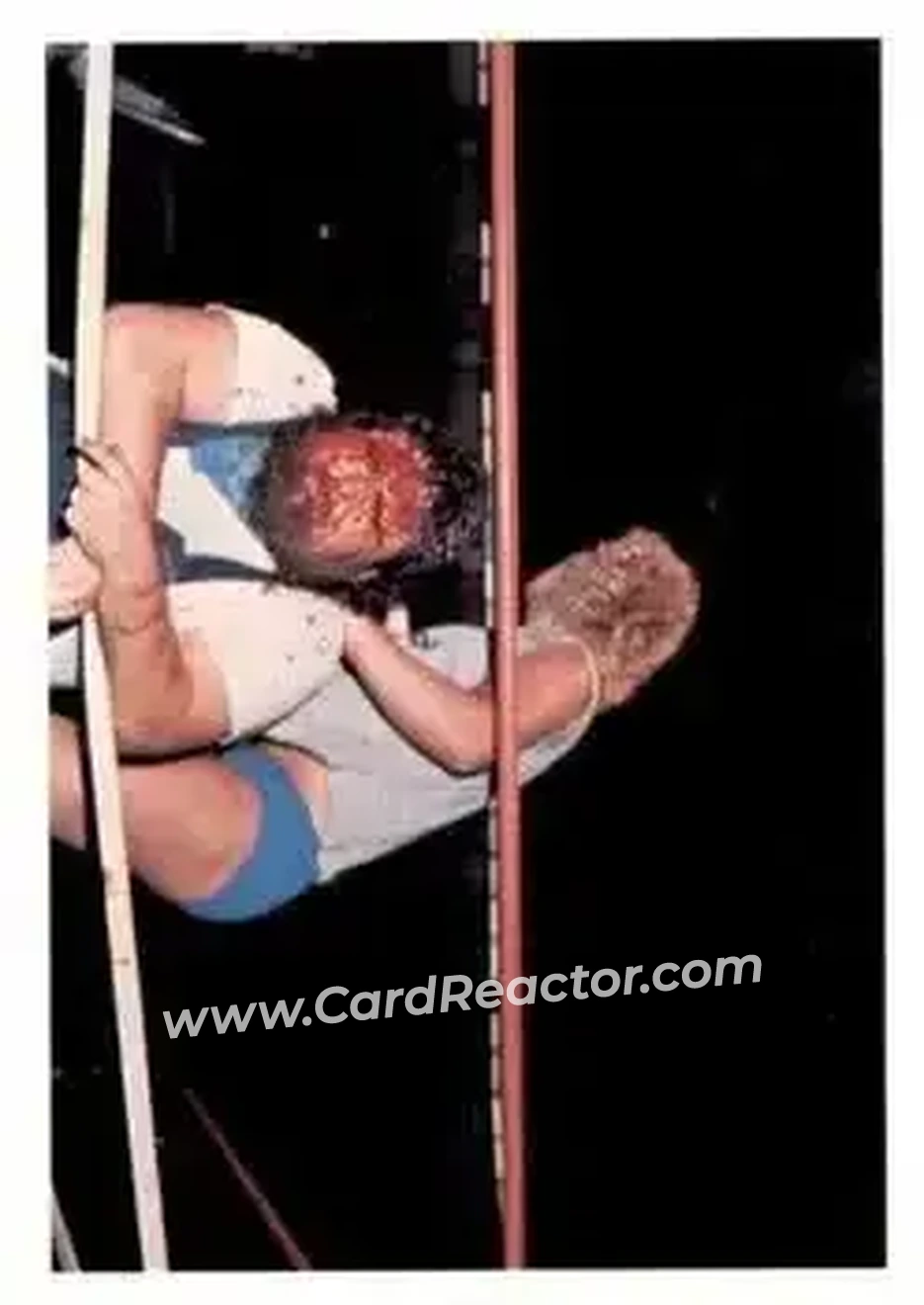 1988 Wonderama NWA #255 - Mighty Wilbur