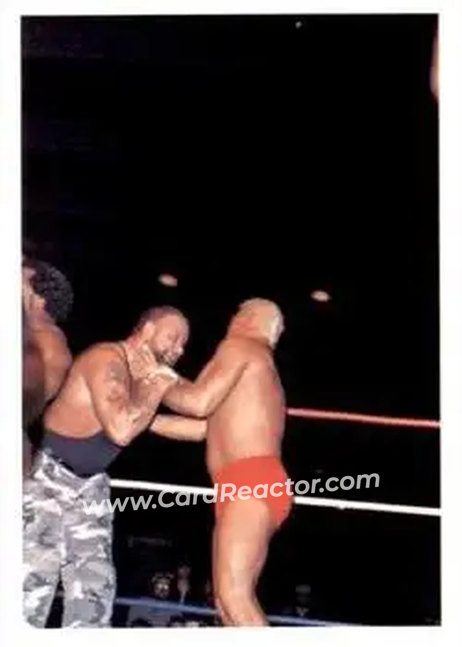1988 Wonderama NWA #256 - Luke Williams