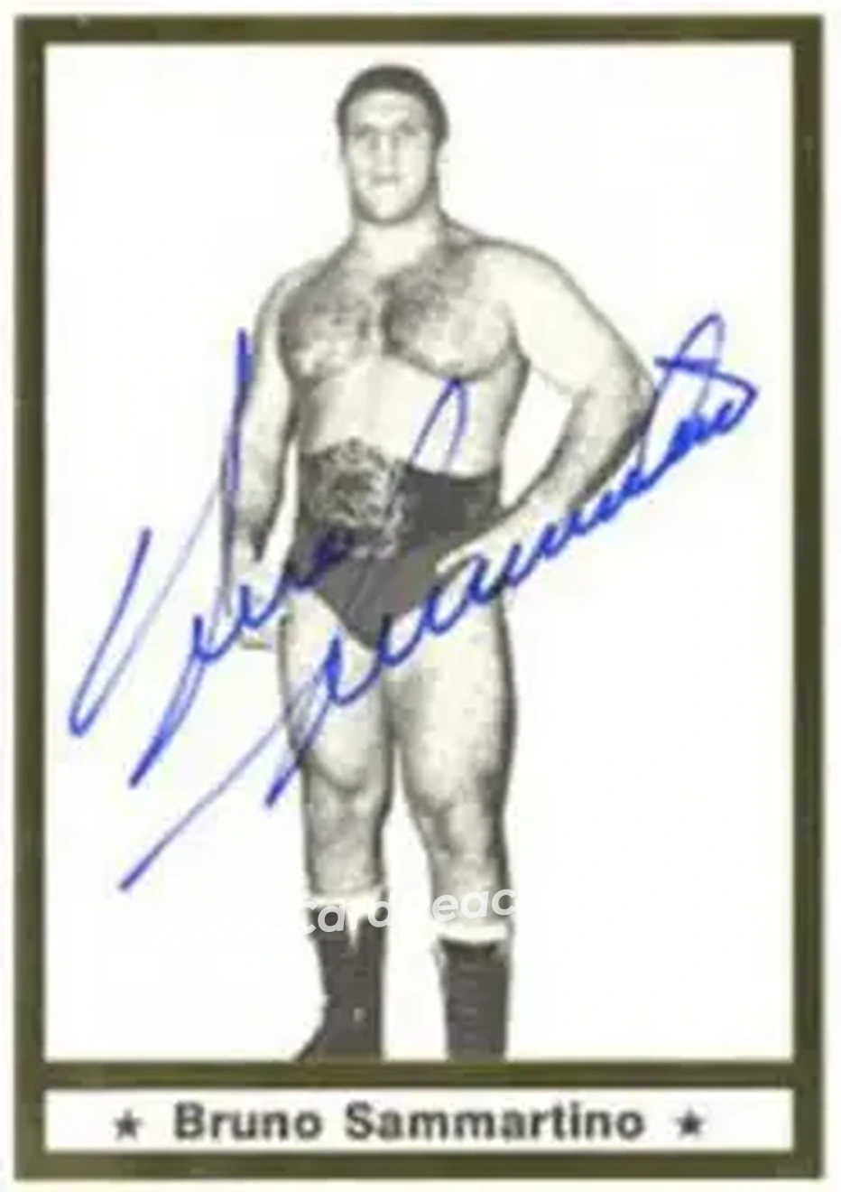 1991 Imagine Wrestling Legends #61 - Bruno Sammartino