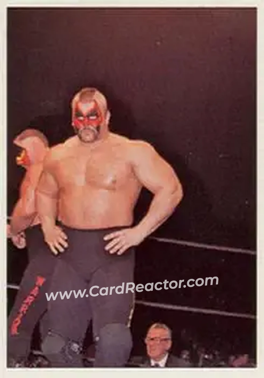 1988 Wonderama NWA #259 - Road Warrior Animal