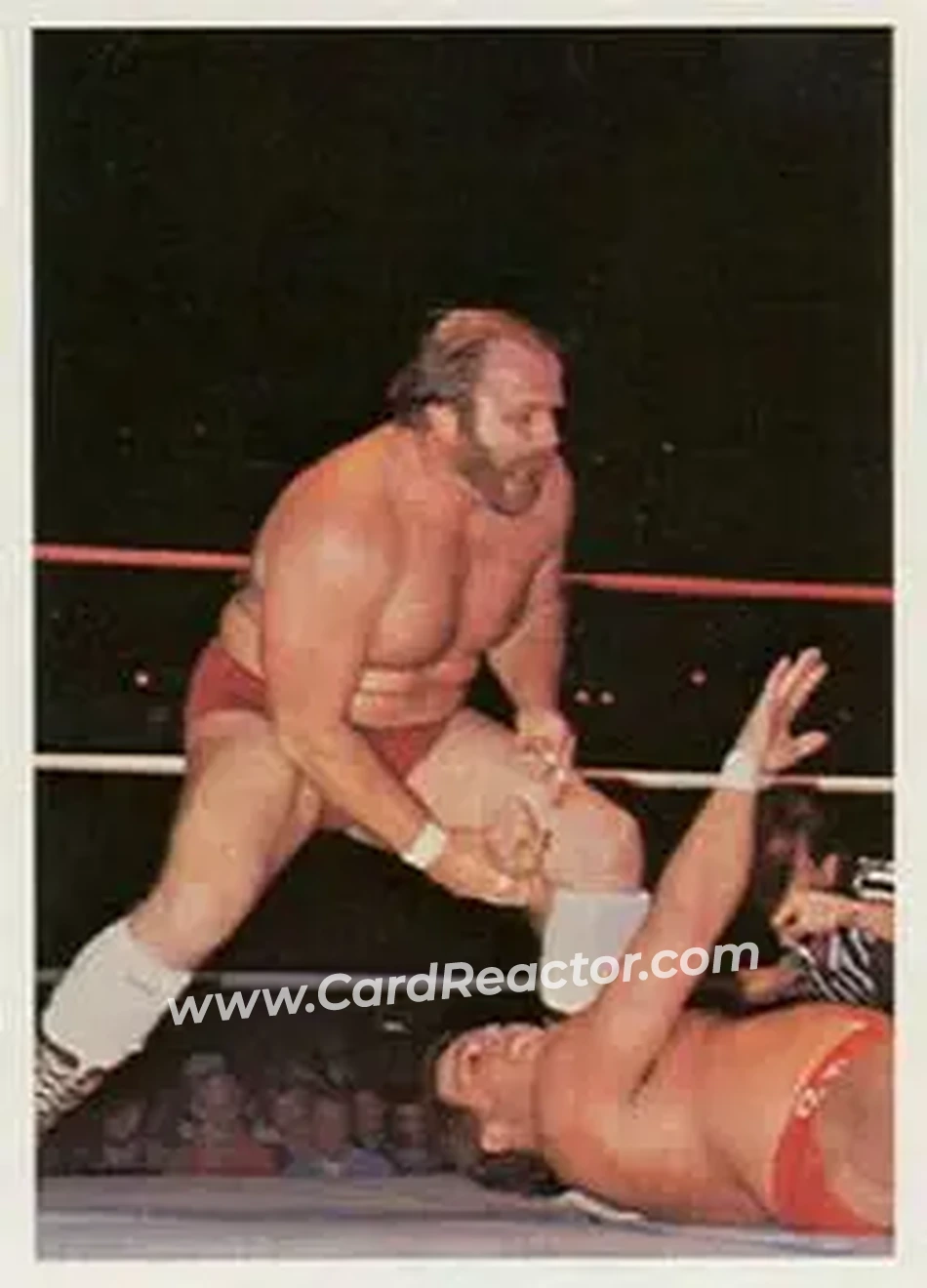 1988 Wonderama NWA #268 - Ole Anderson