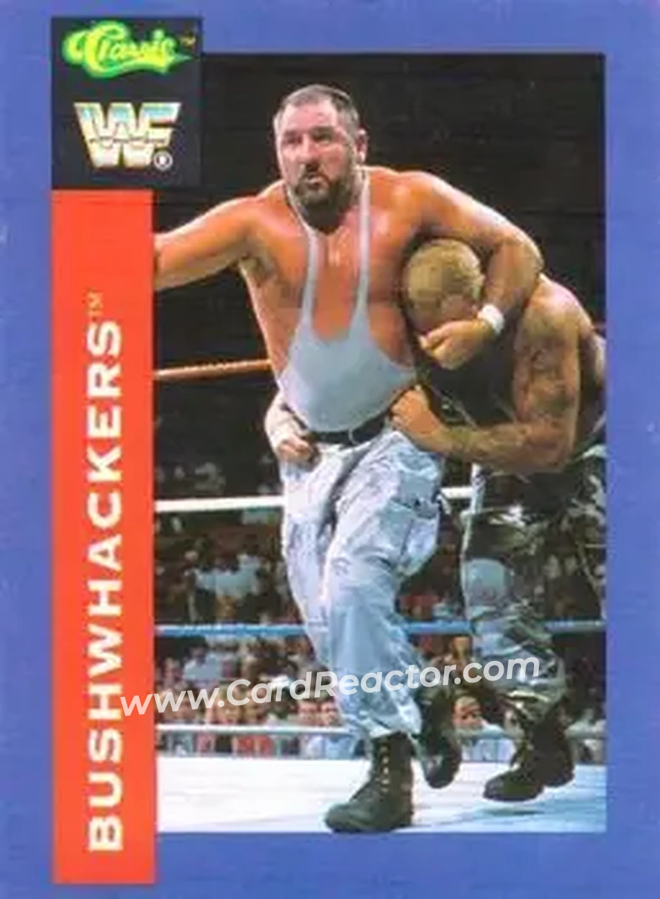 1991 Classic WWF Superstars #83 - The Bushwhackers (Butch & Luke)