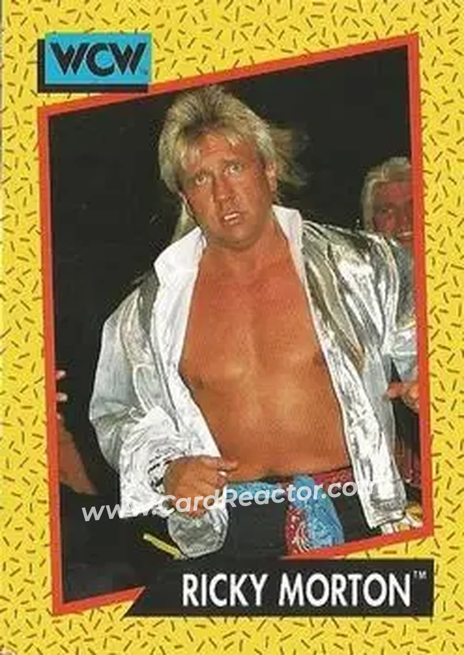 1991 Impel WCW #97 - Ricky Morton