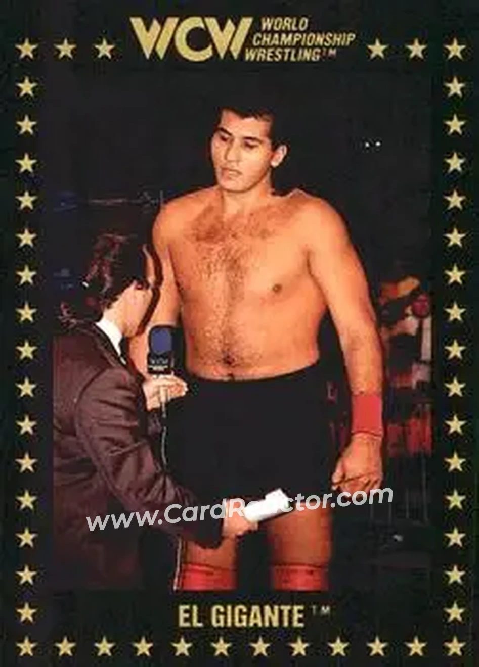 1991 Championship Marketing WCW #78 - El Gigante