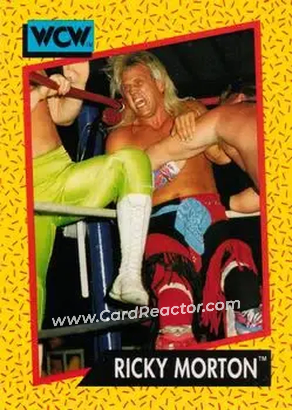 1991 Impel WCW #101 - Ricky Morton