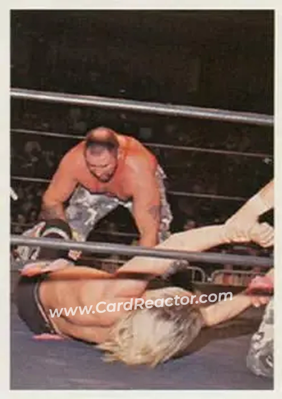 1988 Wonderama NWA #289 - Butch Miller