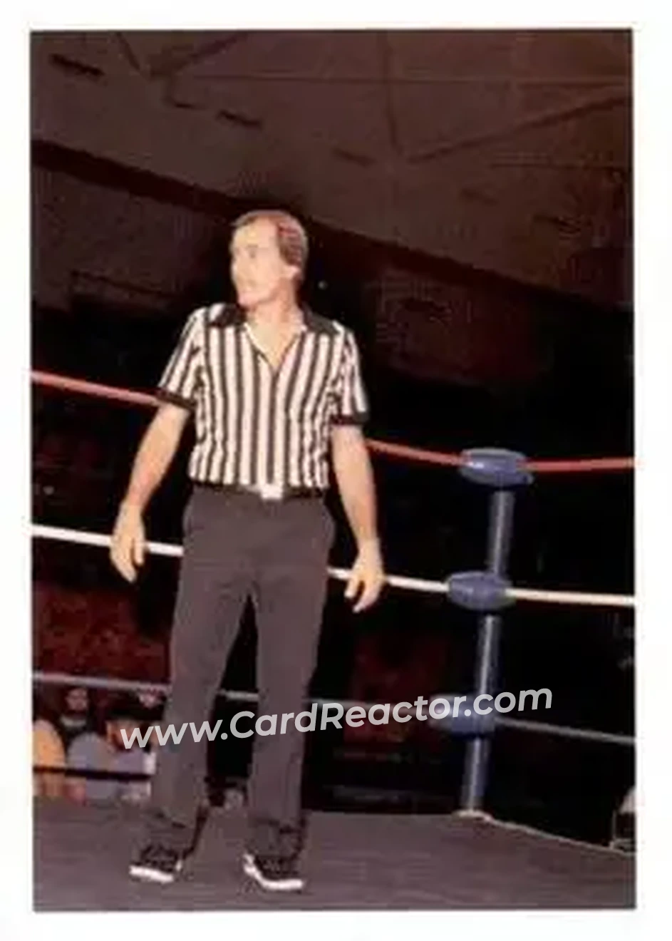 1988 Wonderama NWA #291 - Tommy Young