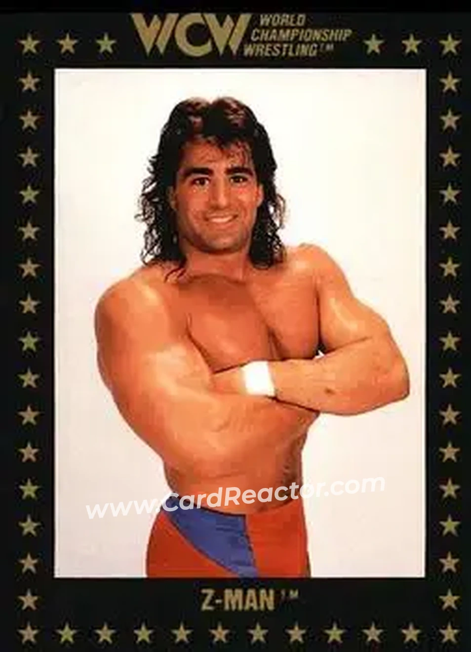 1991 Championship Marketing WCW #97 - Tom Zenk