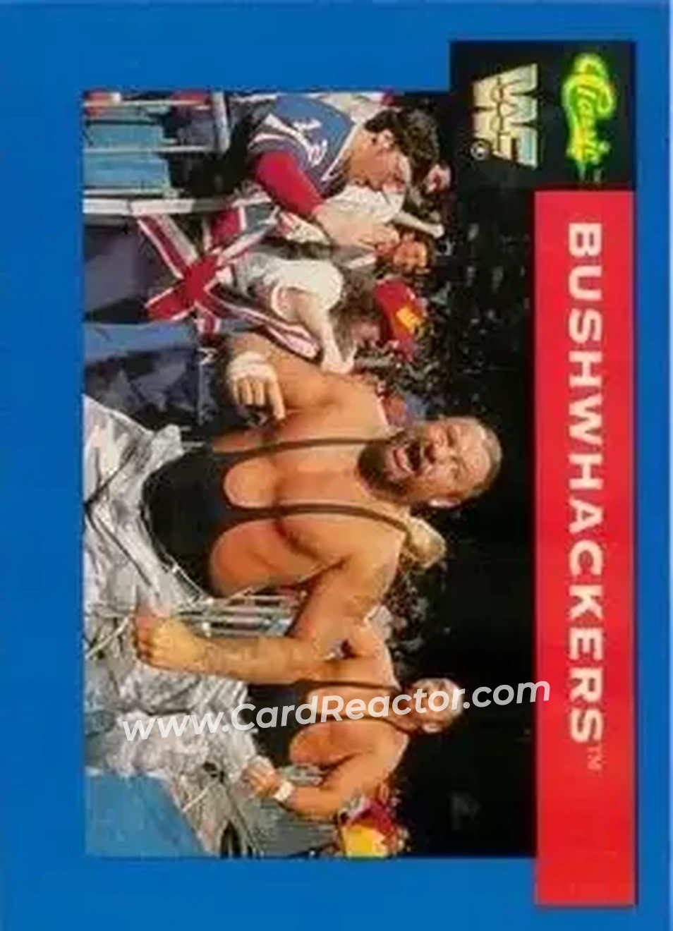 1991 Classic WWF Superstars #119 - The Bushwhackers (Butch & Luke)