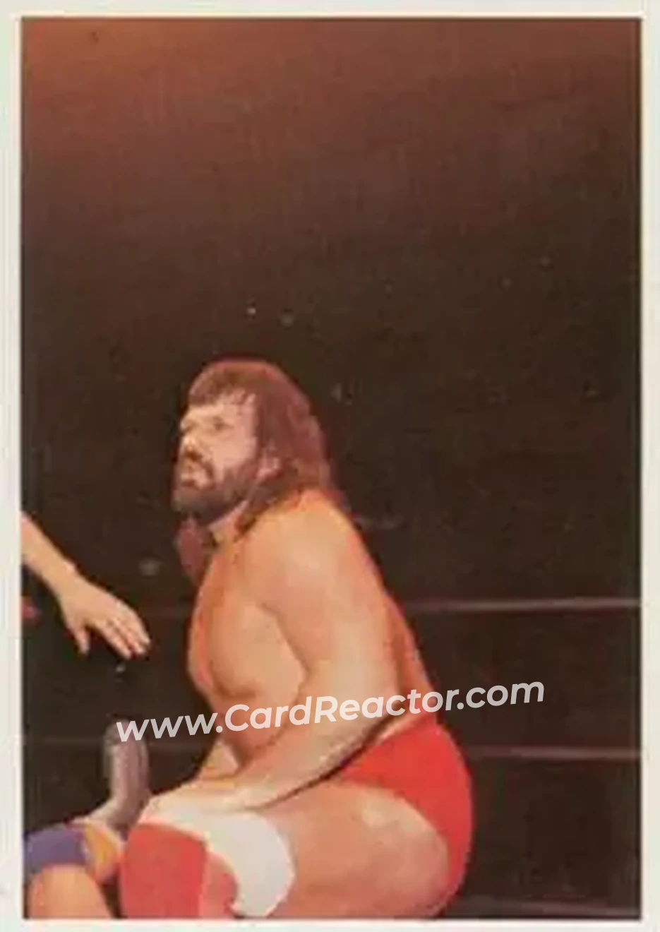 1988 Wonderama NWA #297 - Dr. Death Steve Williams