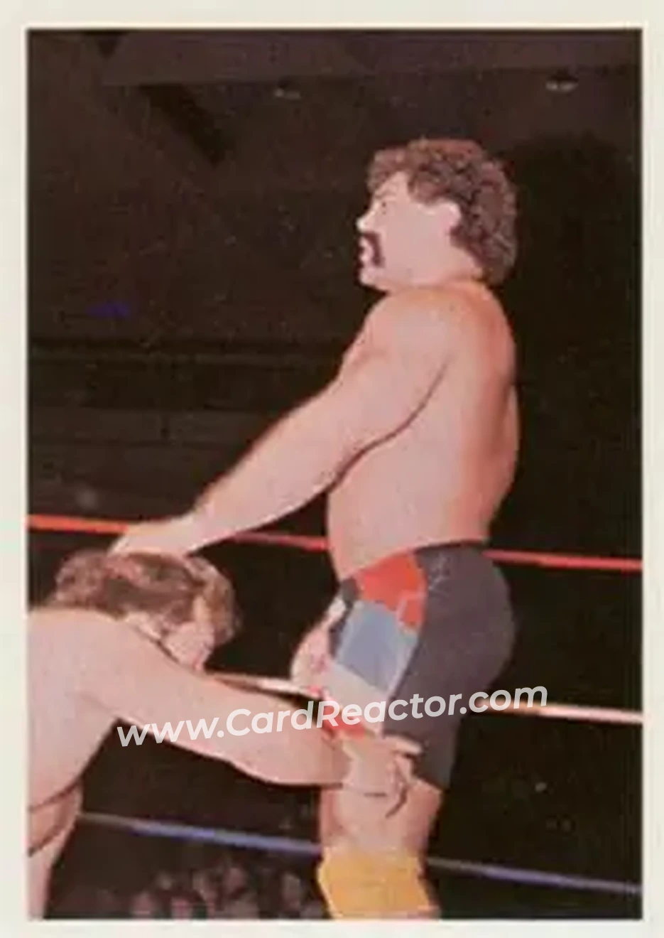 1988 Wonderama NWA #298 - Rick Steiner