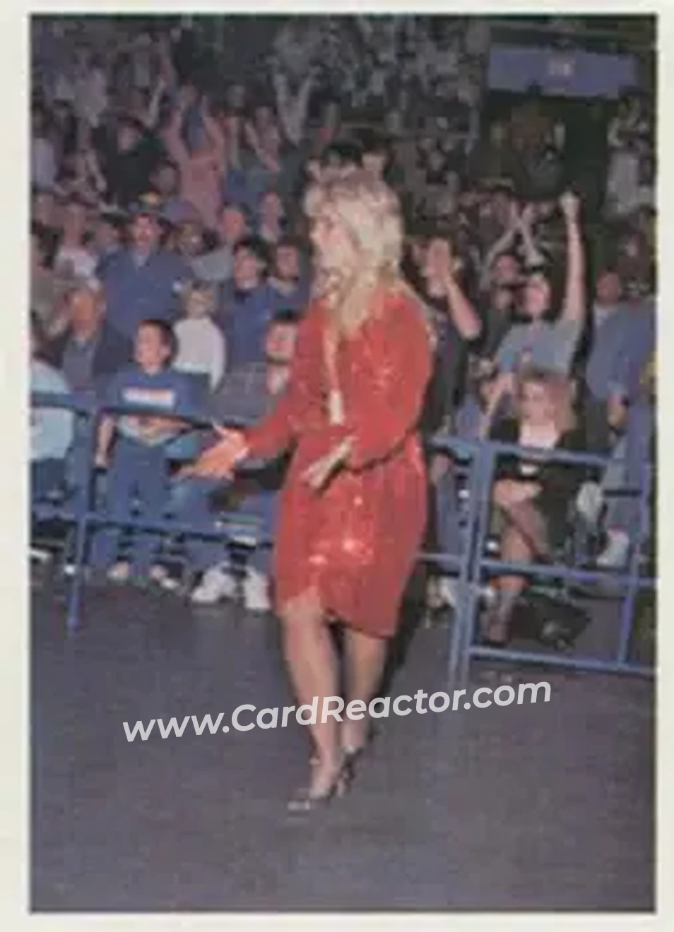 1988 Wonderama NWA #302 - Baby Doll