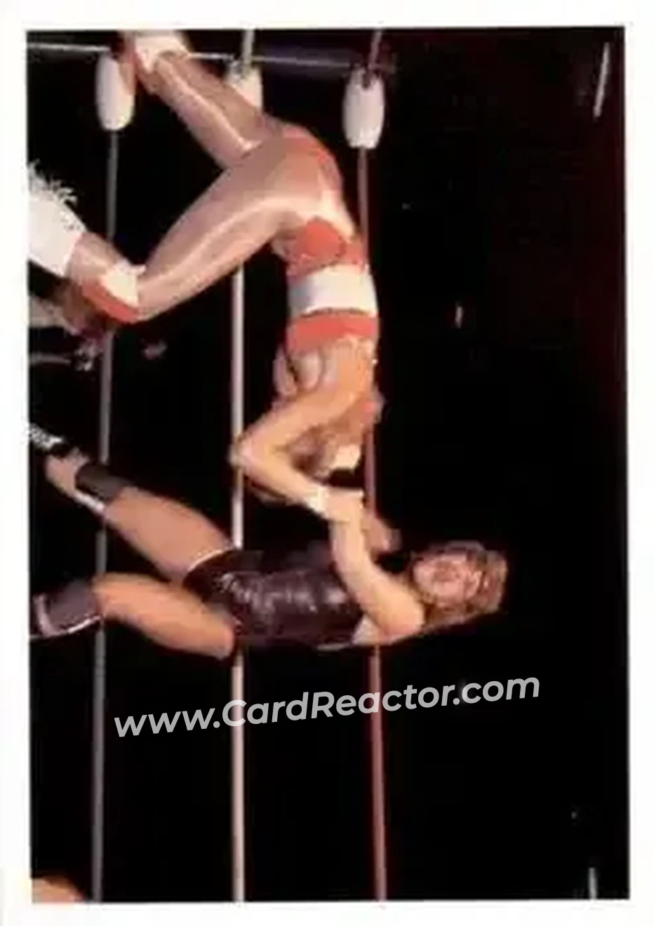 1988 Wonderama NWA #311 - Kat Leroux