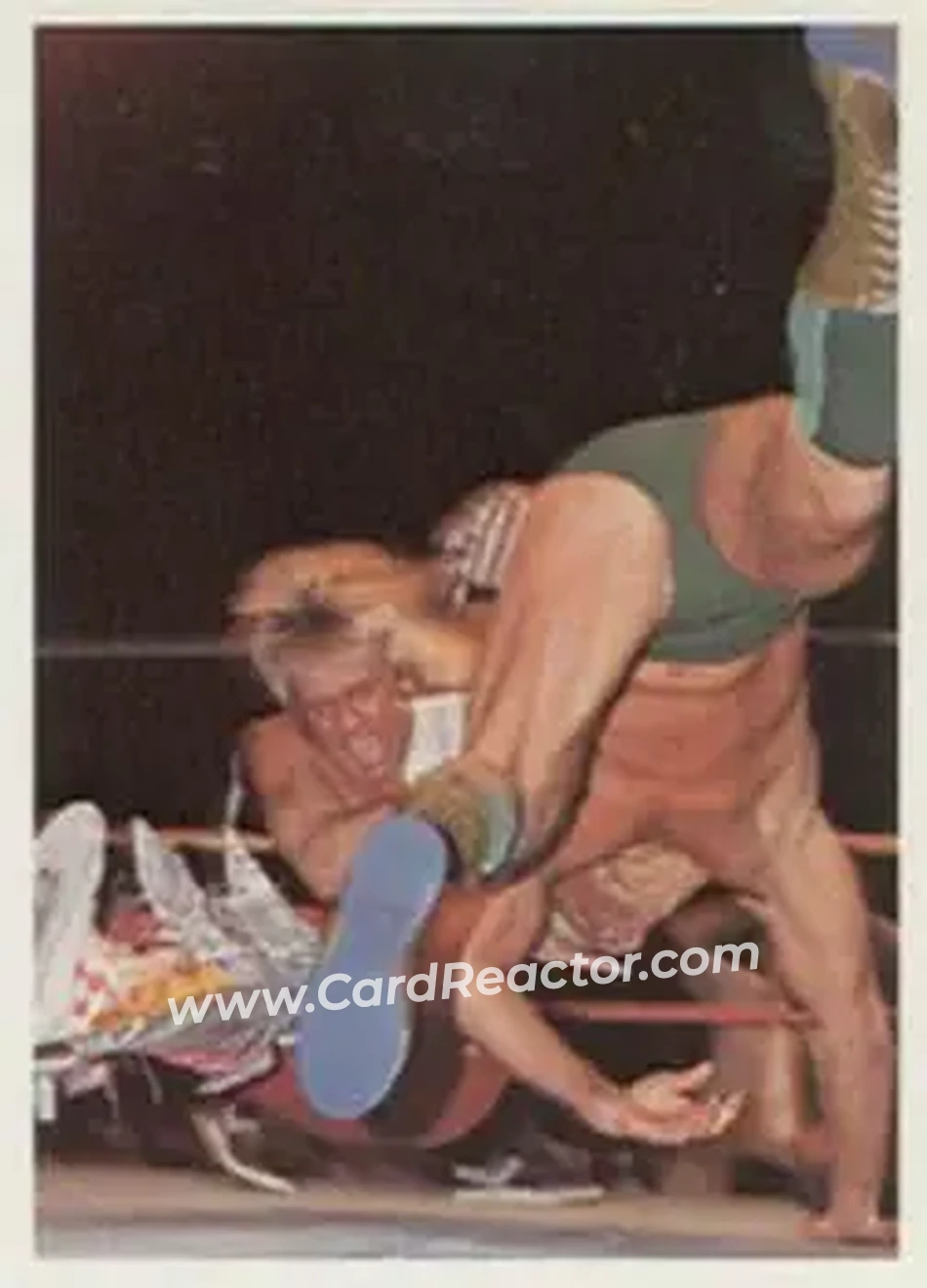 1988 Wonderama NWA #314 - Ricky Morton