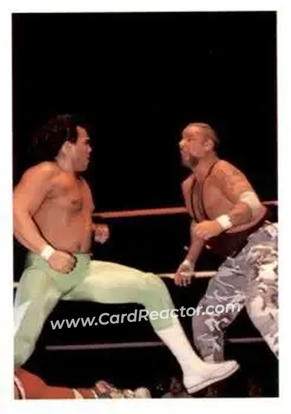 1988 Wonderama NWA #319 - Ricky Santana