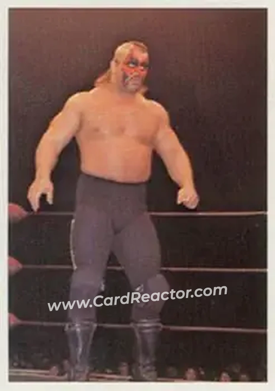 1988 Wonderama NWA #327 - Road Warrior Animal