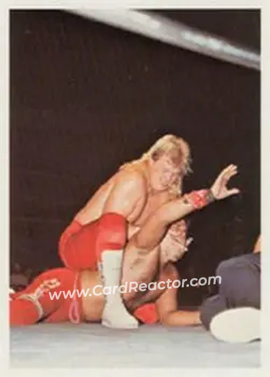 1988 Wonderama NWA #329 - Bobby Eaton