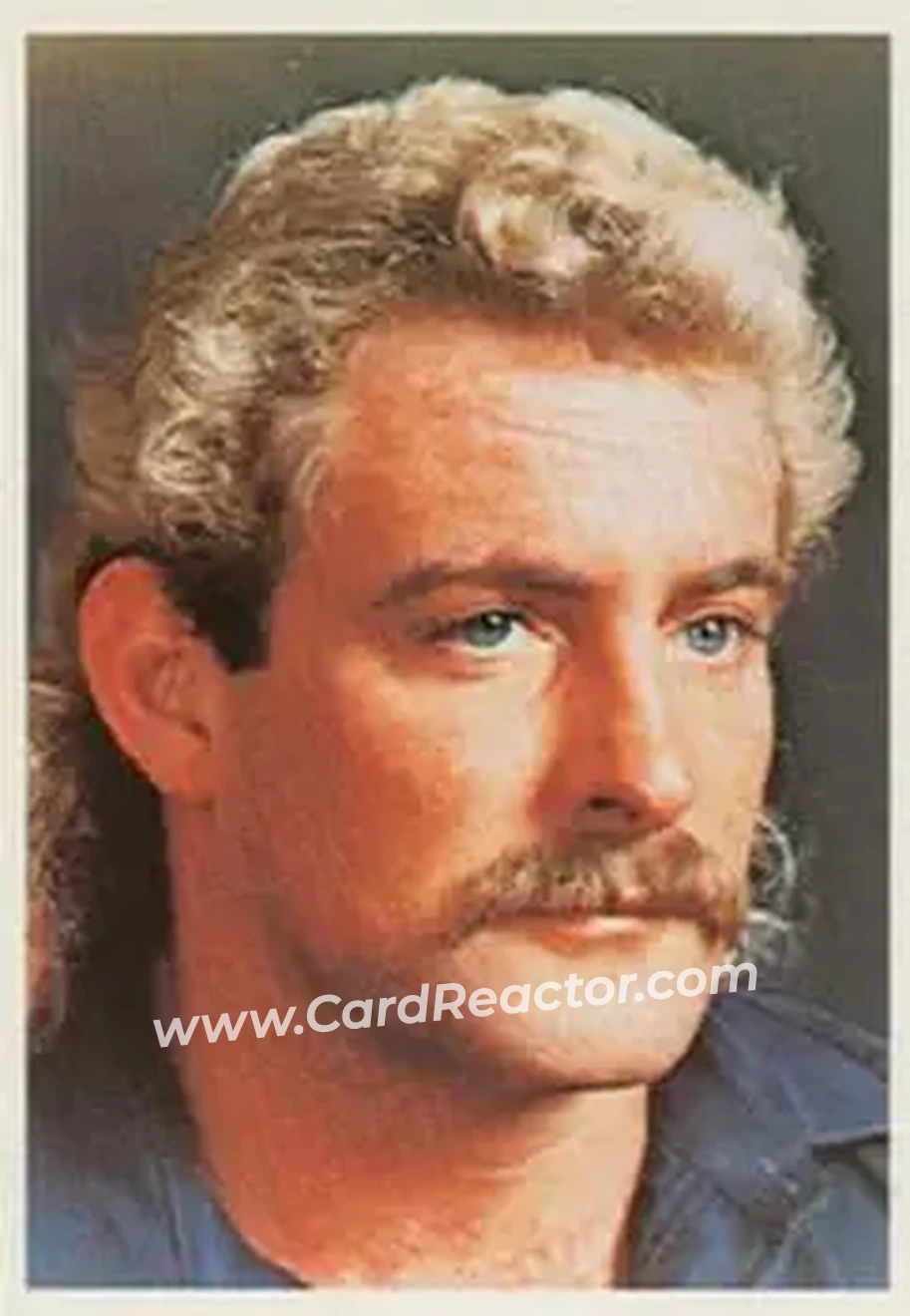 1988 Wonderama NWA #343 - Magnum T.A.